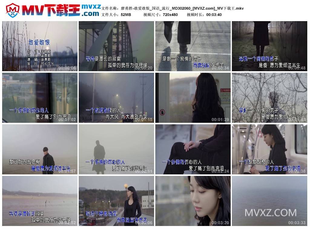 廖勇胜-敢爱敢恨_国语_流行_MD302060